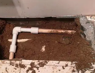 淳安测漏水哪家好