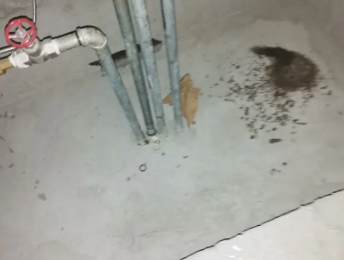 淳安卫生间测漏水价格明细