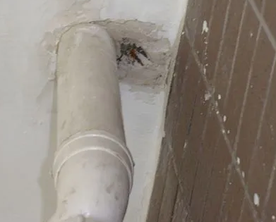 淳安漏水检测哪家好